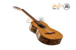 گیتار mv5